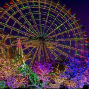 ヒメ日記 2025/11/25 10:58 投稿 セリナ ティアラ(小名浜)