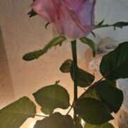 ヒメ日記 2025/01/26 00:18 投稿 you  -ゆう- ティアラ(小名浜)