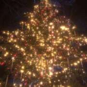 ヒメ日記 2025/11/30 08:08 投稿 まりあ ティアラ(小名浜)