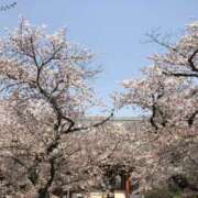 ヒメ日記 2026/03/12 18:08 投稿 まりあ ティアラ(小名浜)