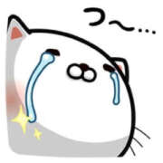 ヒメ日記 2025/01/05 02:08 投稿 わか ティアラ(小名浜)