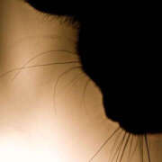 ヒメ日記 2025/01/07 07:48 投稿 わか ティアラ(小名浜)