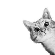 ヒメ日記 2025/03/09 18:18 投稿 わか ティアラ(小名浜)