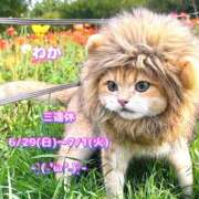 ヒメ日記 2025/06/20 09:13 投稿 わか ティアラ(小名浜)