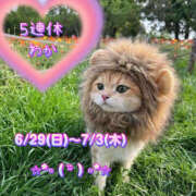 ヒメ日記 2025/06/27 08:48 投稿 わか ティアラ(小名浜)