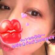 ヒメ日記 2025/08/15 10:08 投稿 わか ティアラ(小名浜)