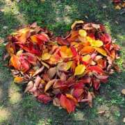 ヒメ日記 2025/11/24 09:18 投稿 わか ティアラ(小名浜)