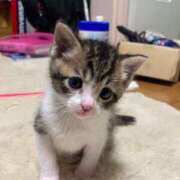 ヒメ日記 2025/05/23 01:24 投稿 いちの タレント倶楽部Around40