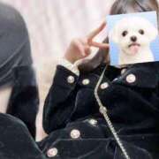 ヒメ日記 2026/01/04 16:18 投稿 白野しろな JKリフレ東京 秋葉原本店