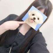 ヒメ日記 2026/01/31 17:27 投稿 白野しろな JKリフレ東京 秋葉原本店