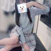 ヒメ日記 2026/02/03 14:37 投稿 白野しろな JKリフレ東京 秋葉原本店