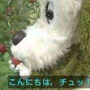 ヒメ日記 2025/06/07 20:05 投稿 甘露～AMATSUYU～ BBW 西川口店