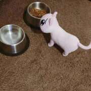 ヒメ日記 2025/09/20 22:58 投稿 甘露～AMATSUYU～ BBW 西川口店