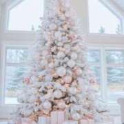 ヒメ日記 2024/12/11 12:04 投稿 えま 鹿児島人妻 楊貴妃