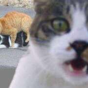 ヒメ日記 2025/06/19 10:36 投稿 春 熟女の風俗最終章 新横浜店