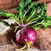 ヒメ日記 2025/07/31 11:29 投稿 春 熟女の風俗最終章 新横浜店