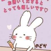 のどか 次回の出勤は８日(日)になります💐 ミスミセス