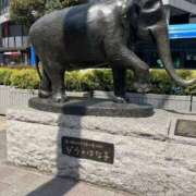 ヒメ日記 2025/04/05 12:28 投稿 あやの 完熟ばなな新宿