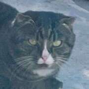 ヒメ日記 2025/05/11 10:44 投稿 あやの 完熟ばなな新宿