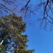 ヒメ日記 2025/02/08 08:17 投稿 大内アヤ 彩タマンサ（埼玉ハレ系）