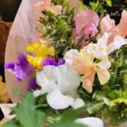 ヒメ日記 2025/02/23 15:33 投稿 大内アヤ 彩タマンサ（埼玉ハレ系）