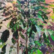 ヒメ日記 2025/03/05 23:21 投稿 大内アヤ 彩タマンサ（埼玉ハレ系）