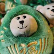 ヒメ日記 2025/03/18 17:11 投稿 大内アヤ 彩タマンサ（埼玉ハレ系）