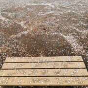 ヒメ日記 2025/04/20 12:10 投稿 大内アヤ 彩タマンサ（埼玉ハレ系）