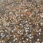 大内アヤ [お題]from:まー さん 彩タマンサ（埼玉ハレ系）