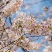 ヒメ日記 2026/04/09 18:28 投稿 大内アヤ 彩タマンサ（埼玉ハレ系）