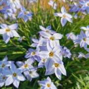 ヒメ日記 2026/04/13 10:02 投稿 大内アヤ 彩タマンサ（埼玉ハレ系）