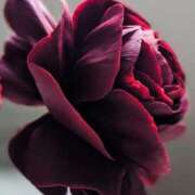 ヒメ日記 2025/01/10 01:36 投稿 ゆの 熟女の風俗最終章 蒲田店