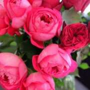 ヒメ日記 2025/01/11 02:26 投稿 ゆの 熟女の風俗最終章 蒲田店