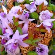 ヒメ日記 2025/01/16 18:49 投稿 ゆの 熟女の風俗最終章 蒲田店