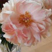 ヒメ日記 2025/01/16 21:57 投稿 ゆの 熟女の風俗最終章 蒲田店