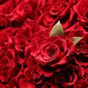 ヒメ日記 2025/01/19 20:36 投稿 ゆの 熟女の風俗最終章 蒲田店