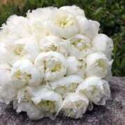 ヒメ日記 2025/01/19 20:42 投稿 ゆの 熟女の風俗最終章 蒲田店