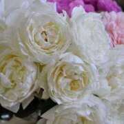 ヒメ日記 2025/02/03 09:26 投稿 ゆの 熟女の風俗最終章 蒲田店