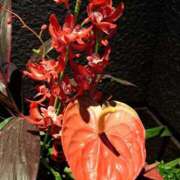 ヒメ日記 2025/03/05 09:16 投稿 ゆの 熟女の風俗最終章 蒲田店