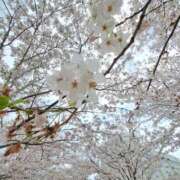 ヒメ日記 2025/03/24 21:50 投稿 ゆの 熟女の風俗最終章 蒲田店