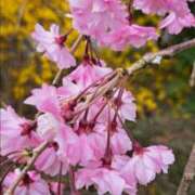 ヒメ日記 2025/03/26 18:20 投稿 ゆの 熟女の風俗最終章 蒲田店