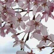 ヒメ日記 2025/03/31 18:20 投稿 ゆの 熟女の風俗最終章 蒲田店