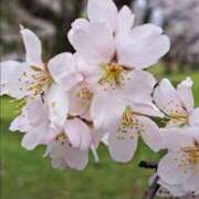 ヒメ日記 2025/04/12 04:42 投稿 ゆの 熟女の風俗最終章 蒲田店