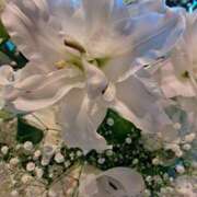 ヒメ日記 2025/04/29 01:30 投稿 ゆの 熟女の風俗最終章 蒲田店