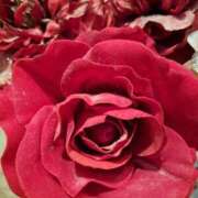 ヒメ日記 2025/04/29 01:50 投稿 ゆの 熟女の風俗最終章 蒲田店