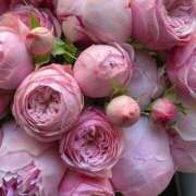 ヒメ日記 2025/04/29 02:20 投稿 ゆの 熟女の風俗最終章 蒲田店