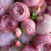 ヒメ日記 2025/05/02 09:27 投稿 ゆの 熟女の風俗最終章 蒲田店