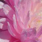 ヒメ日記 2025/05/07 10:30 投稿 ゆの 熟女の風俗最終章 蒲田店