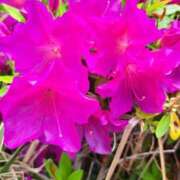 ヒメ日記 2025/05/09 09:25 投稿 ゆの 熟女の風俗最終章 蒲田店