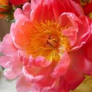 ヒメ日記 2025/05/19 01:31 投稿 ゆの 熟女の風俗最終章 蒲田店